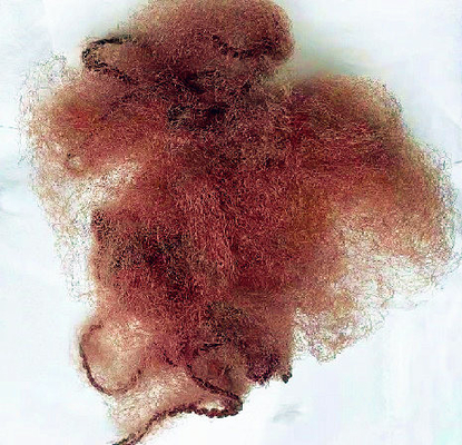 Le retine per capelli invisibili di nylon di Brown 14&quot; retine eliminabili ingranano